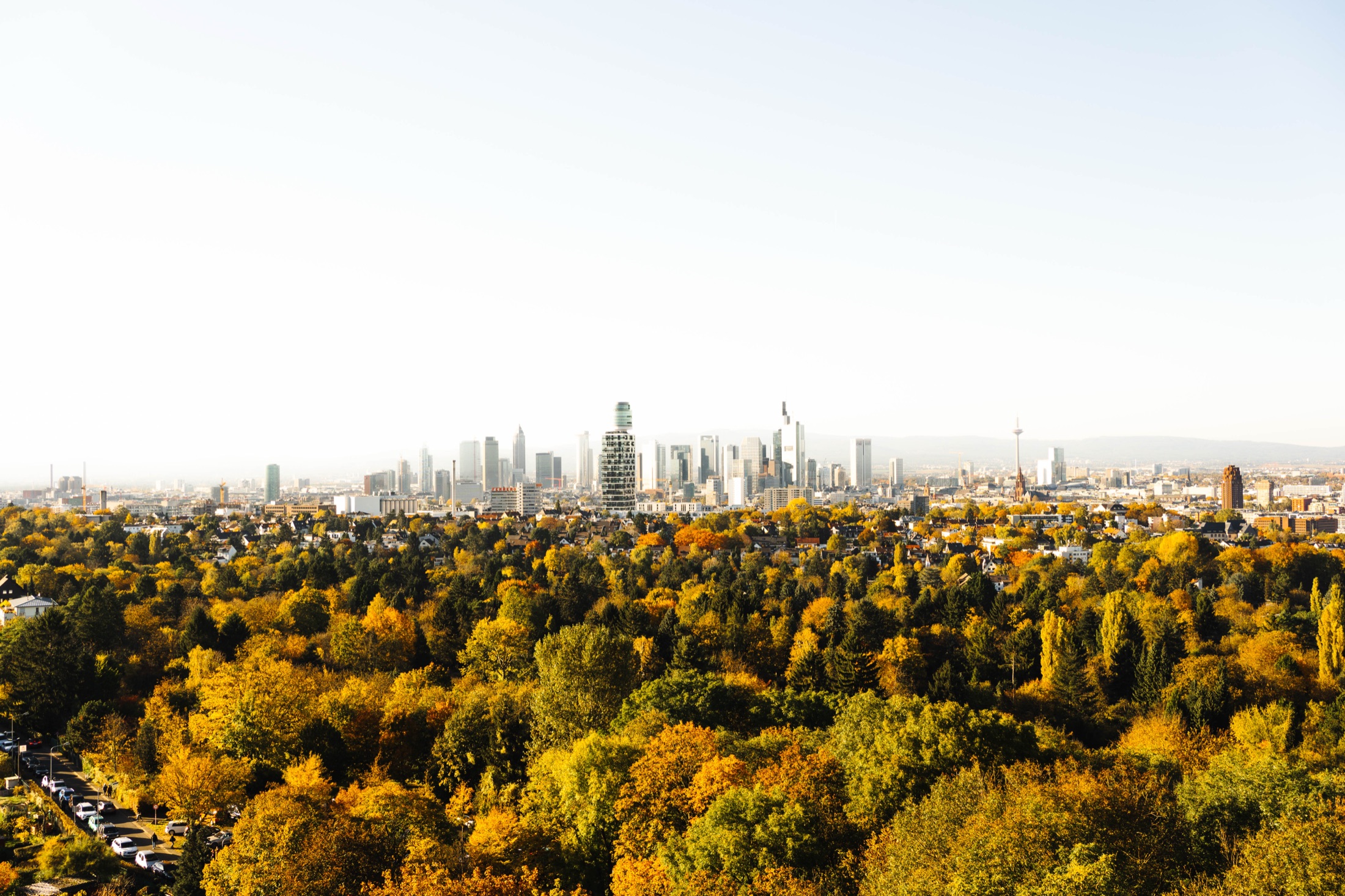 Frankfurter Skyline im Herbst